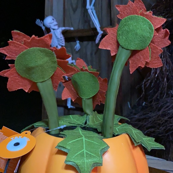 Hide and Eek Animated Halloween Pumpkin with Creepy Dancing and Singing Vines 🎃 - Picture 9 of 16